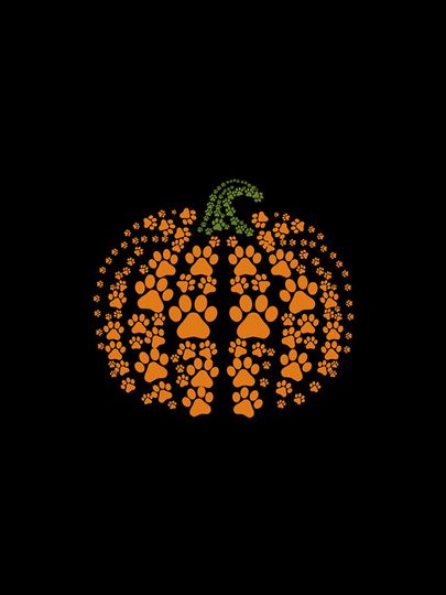 Pumpkin Halloween Funny Dog Cat Pumpkin iPhone Case