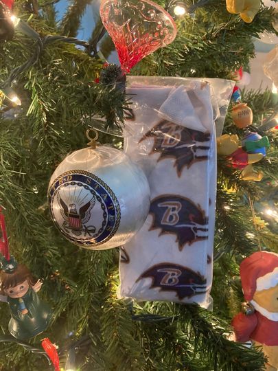 Hand-Drawn Baltimore Ravens Socks - Unique Football Fan Gift - Cushioned Crew Socks