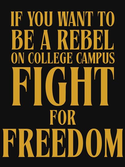 If You Want To Be A Rebel On College Campus Fight For Freedom Charlie Kirk Lightweight Hoodie