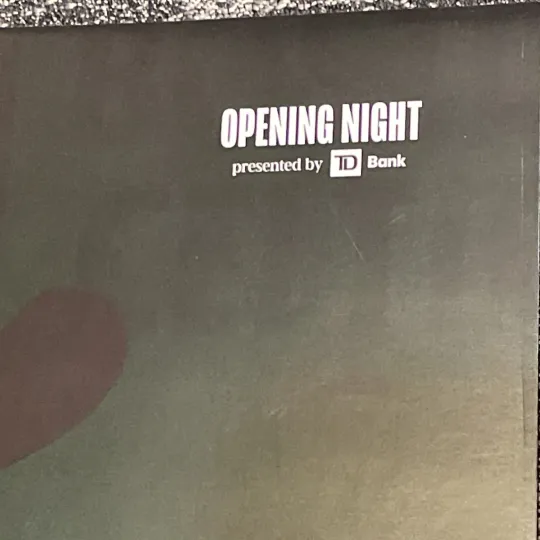 Boston Celtics 2024 Banner Night Game Poster NBA Champions Jayson Tatum