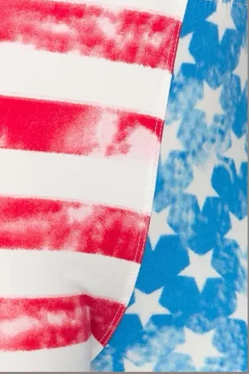 Buttery Soft Vintage Pastel USA Flag Leggings