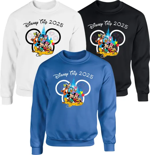 Disney Trip Jumper, Disney Family Vacation 2025 Sweatshirt, Disney Cartoon Top