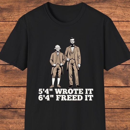 Discover Madison and Lincoln T-Shirt, Funny History Shirt, Constitution Freedom Gift