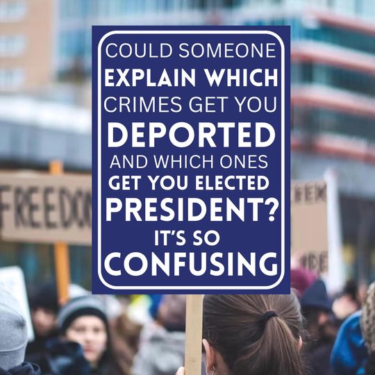 Discover Which Crimes Get You Deported Political Protest Sign, Anti Trump  Sign, Political Sign, Trump Protest Signs, Rejecting Kings, No Kings