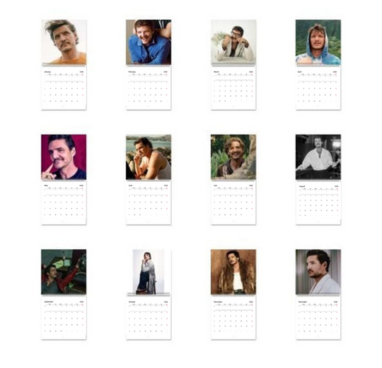Pedro Pascal Calendar Vol.3 - 2026 Calendar, Wall Calendar 2025, Planner 2026, Pedro Pascal Gift