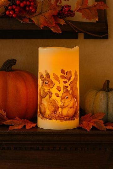 Discover LED Flameless Candle  Autumn Squirrel Design, Battery Operated Fall Dcor