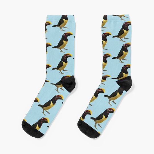 Discover C is for Custom Bird  Socks