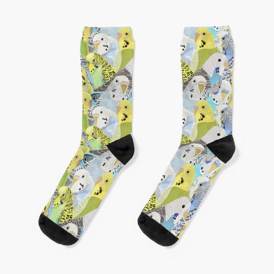 Discover Budgie Parakeets Socks
