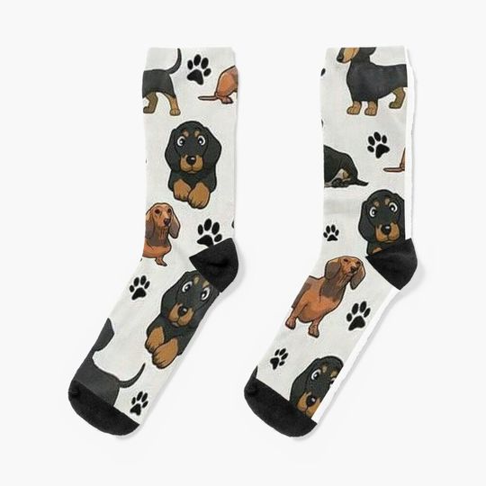 Discover Dachshund Dog cartoons cute Socks