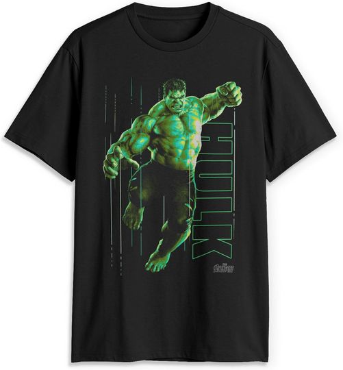Marvel Avengers Hulk Portrait T-Shirt