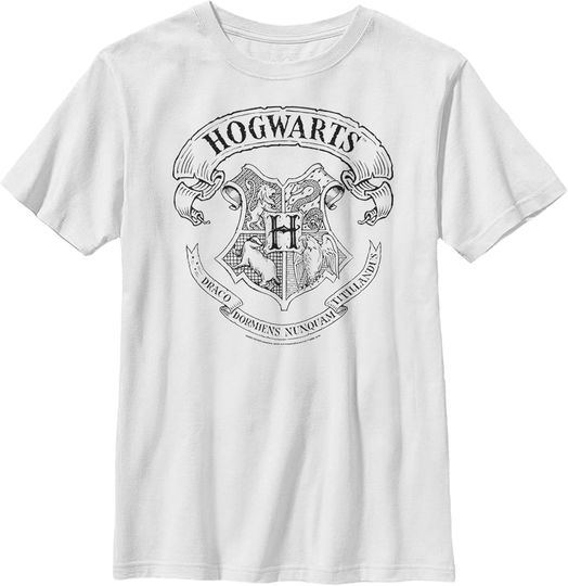 Boy's Harry Potter Hogwarts 4 House Crest T-Shirt