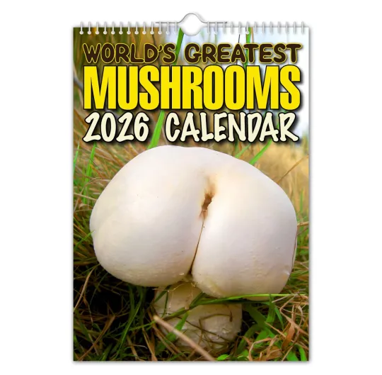 Discover 2026 Calendar - World’s Greatest Mushrooms – Funny - Quirky - Christmas