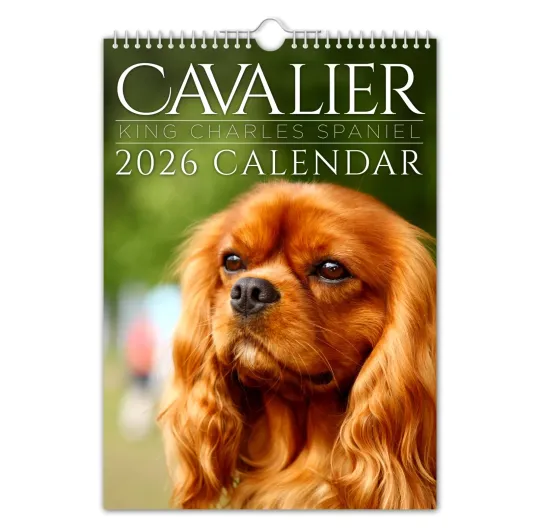 Discover 2026 Calendar - Cavalier King Charles - Birthday / Christmas / Dog