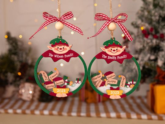 Custom Family Ornament,Family Shaker Ornament,4D Shake Family Ornament,Elf Mason Jar Ornaments,Family Ornament 2025,Family Christmas Gift