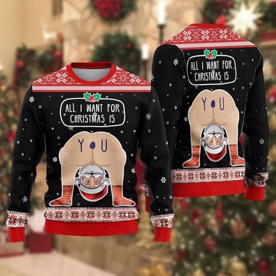 All I Want Is You Sweater, Funny Naughty Xmas Pullover, Adult Christmas Jumper