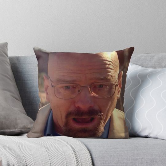 Walter White Meme Pillow