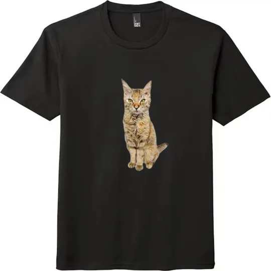 Discover Serious Tabby Cat Graphic Unisex Tee