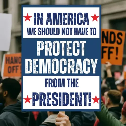 Discover No Kings Protest Sign, Protect Democracy Anti Trump, Political Activist Poster