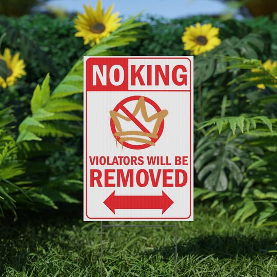 Discover Plastic Yard Sign, NO KING Political Protest, Anti-Trump Statement, No Kings Rally, Protest Sign, Activist Decor