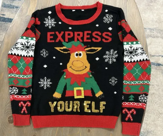 Discover No Boundaries Ugly Christmas Sweater "Express Your Elf” Size 7-9