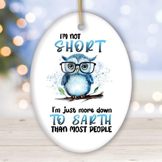 Discover Down to Earth Owl Ceramic Ornament, Cute and Funny Christmas Gift