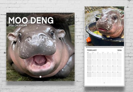Discover Moo Deng 2026 Calendar | Pygmy Hippo | Cute Animal | Baby Hippo | Funny Animal Gift | Animal Lover | Moo Deng Hippo | Animal Calendar