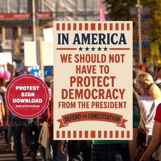 Discover No Kings Protest Sign In America We Should Not Have to Protect Democracy from the President Defend the Constitution Protest March Sign