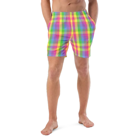 Discover Rainbow Plaid Men's Swim Trunks