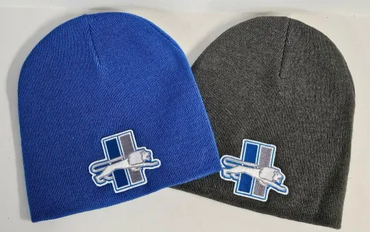 Discover Detroit Lions Beanie 🏈Knit Hat  🏈RETRO football PATCH/LOGO 🏈GO LIONS!!!!!  🏈NWT