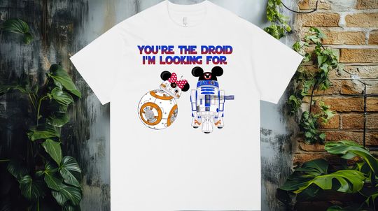 Discover You Are The Droid Star Wars Valentines Premium Heavyweight T-shirt,  Oversized Fit
