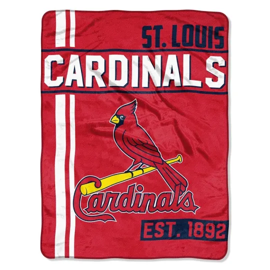 Discover MLB "Walk Off" Micro Raschel Throw Blanket (46" x 60")