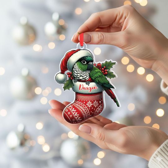 Discover Personalized Conure Parrot Christmas Ornament: Acrylic Santa Hat Bird