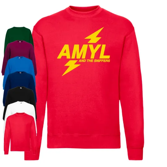 Discover Amyl And The Sniffers Jumper| Punk |