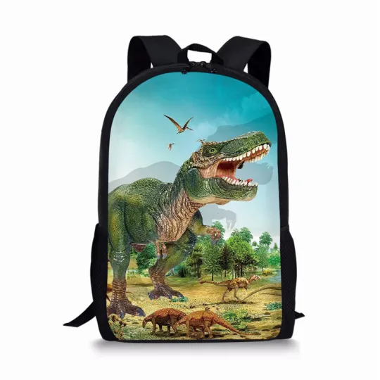Discover Dinosaur Cartoon Backpack for Boys and Girls, 17 Inch School and Travel Bag