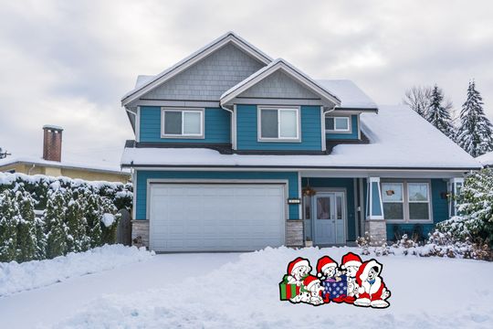 Discover Dalmation Santa Yard Decor MC002