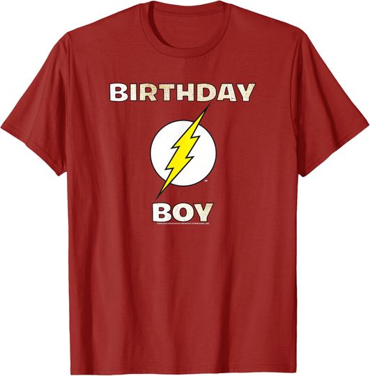 DC Comics Justice League The Flash Birthday Boy T-Shirt, Gift For Fan