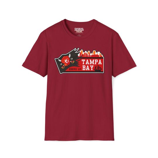 Discover Tampa Bay Football T-Shirt, Sports Fans Tee, Gifts for Him, Gifts for Her, Christmas Present
