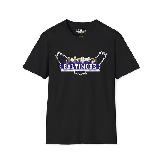 Discover Baltimore Football T-Shirt, Sports Fans Tee, Gifts for Him, Gifts for Her, Christmas Present