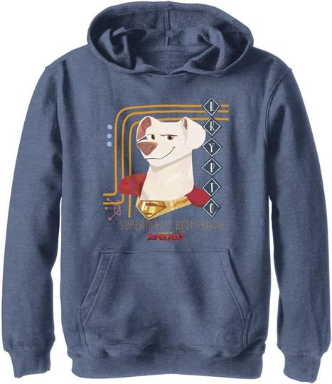 Discover DC Comics Kids' Dc Super Pets Krypto Doggy Youth Pullover Hoodie