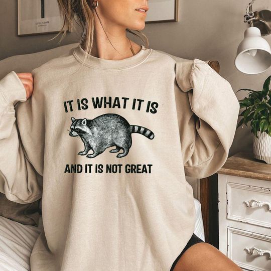 Discover Embroidered  Oversized Sweatshirt, Unisex College Sweater, Vintage Streetwear Pullover