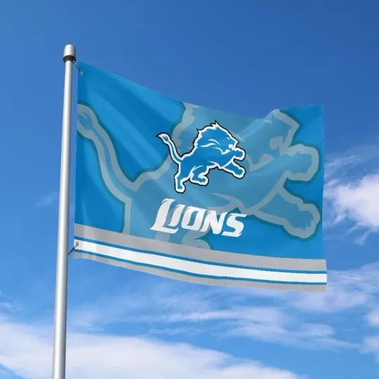 Discover Detroit Fans Football Team House Flag