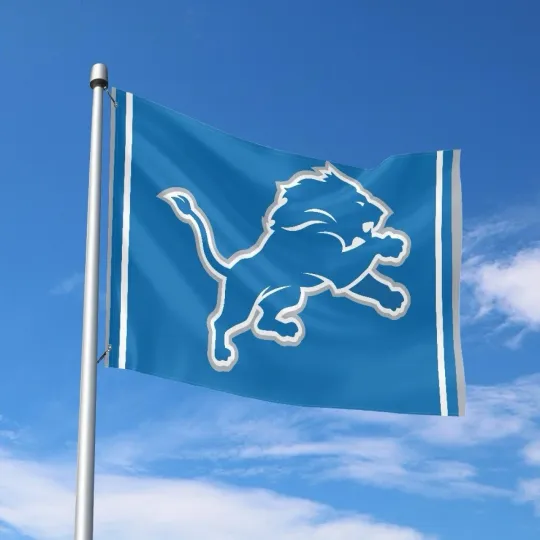 Discover Detroit Fans Football Team House Flag