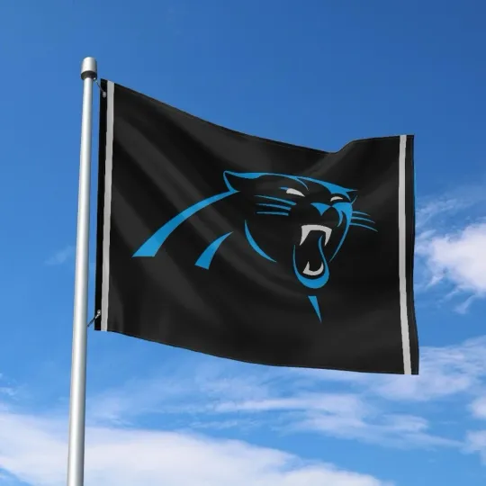 Discover Carolina Fans Football Team House Flag