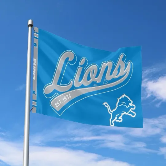 Discover Detroit Fans Football Team House Flag
