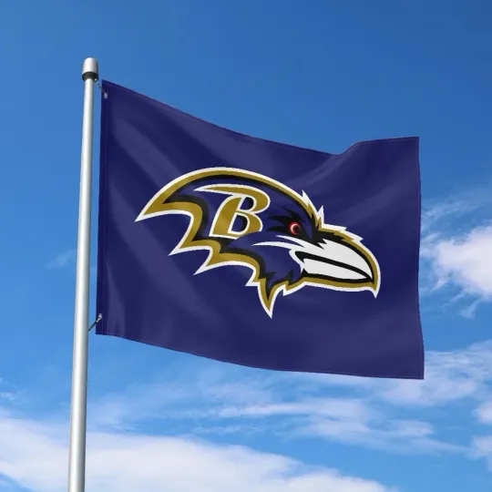 Discover Baltimore Fans Football Team House Flag