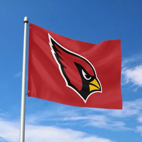 Discover Arizonna Fans Football Team House Flag