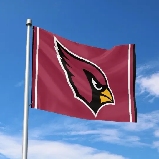 Discover Arizonna Fans Football Team House Flag