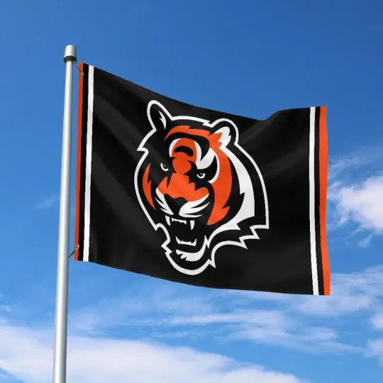 Discover Cincinnati Fans Football Team House Flag