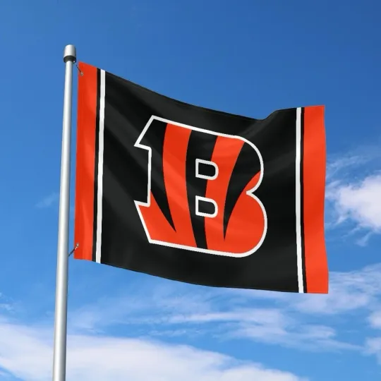 Discover Cincinnati Fans Football Team House Flag