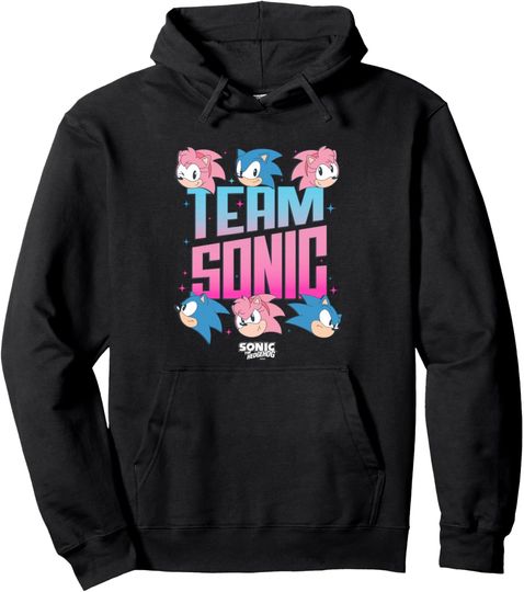 Discover Sonic The Hedgehog Team Sonic Amy Rose Retro Logo Pullover Hoodie